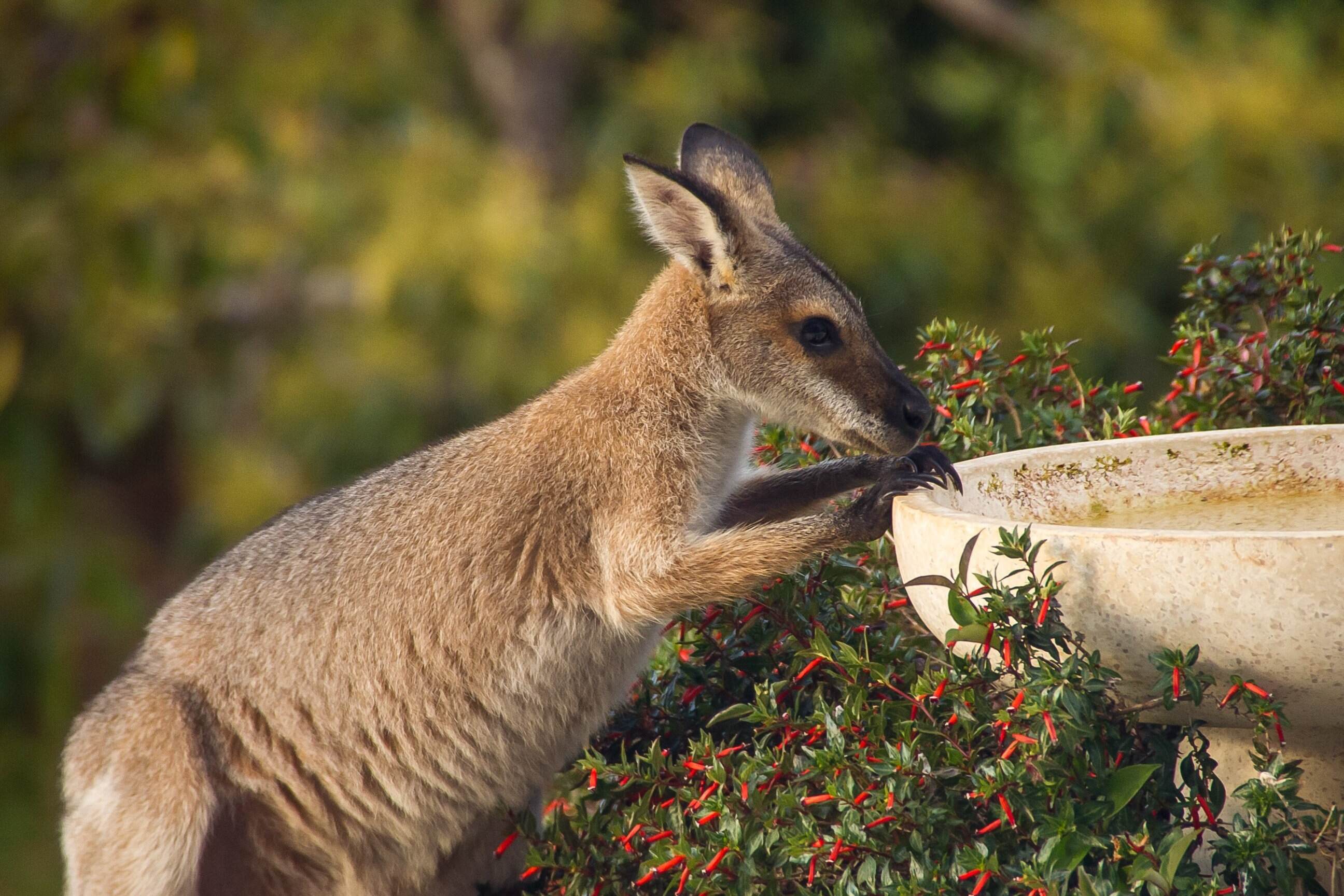 gfadd527fac1c43fced2d9f6b35e2f3cecce0ea6a3bb2e121f1fee5c6771e7671cc71b57a9c5d4b13843c13d76037c6ac