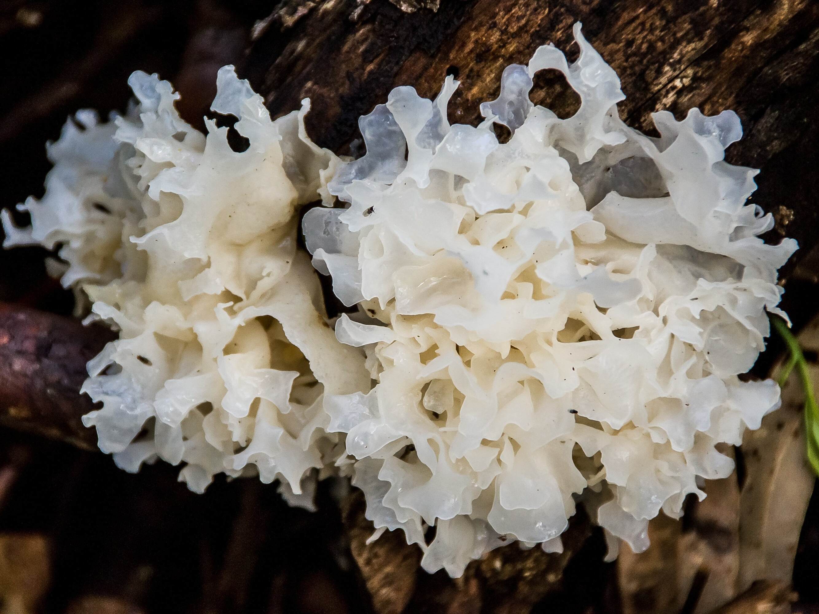 g1cf9a26ba4d055ca962f3a817270f2cf4f7c7631455ce803d52ccd05b1f15e92c7add9c4172aaeb2d79f1afebe4a17fa